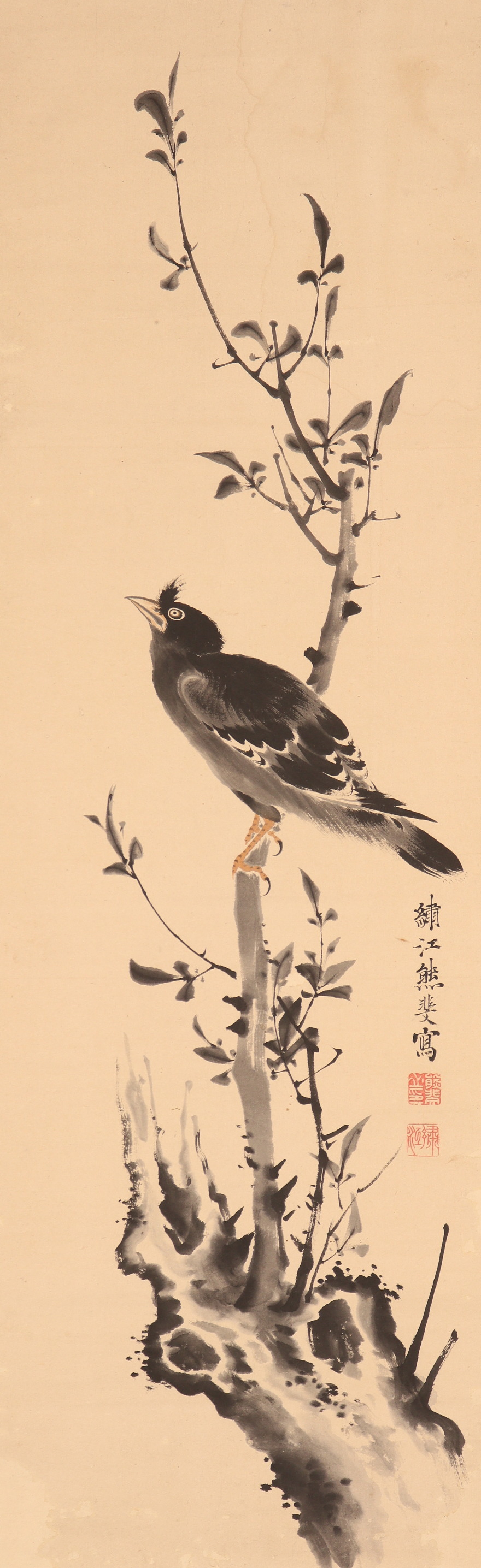 【模写】【伝来】b7061〈熊代熊斐〉八哥鸟図 中国画