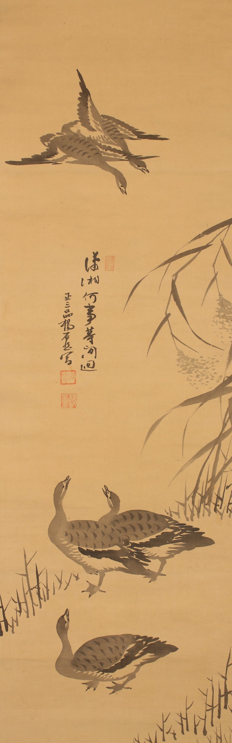 k*i様 朴疇恒 朴畴恒 湖雲 墨蘭画賛 中国画 李朝韓国 朝鮮近代 掛軸250 Yahoo!オークション - [真作] 朝鮮画 朴疇恒 肉筆 墨蘭圖 掛軸