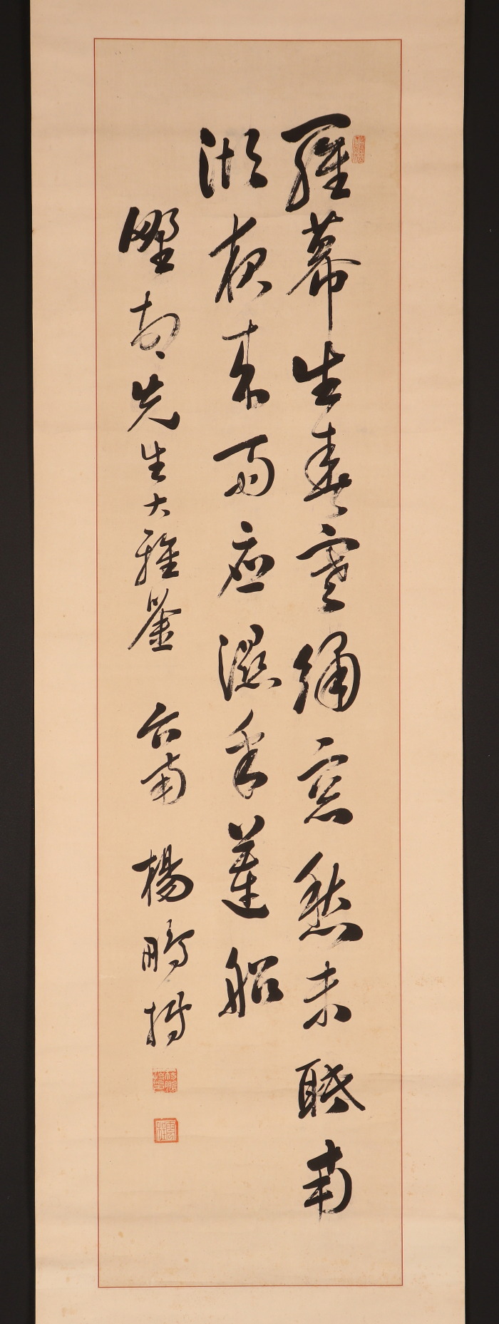 【模写】【伝来】b8094〈杨鹏搏 云桂〉书 台南 中国画