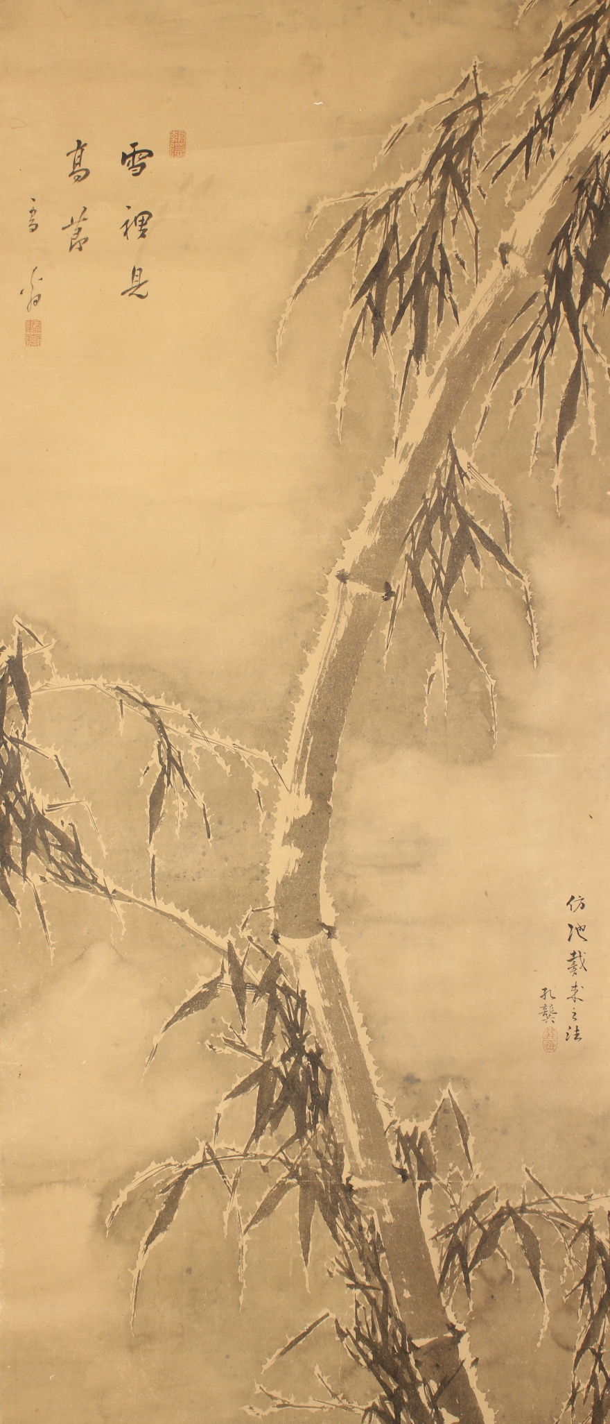 木内石亭　雲根志　木村蒹葭堂　限定版1500部　本草学　博物学 木村蒹葭堂貝石標本：：：