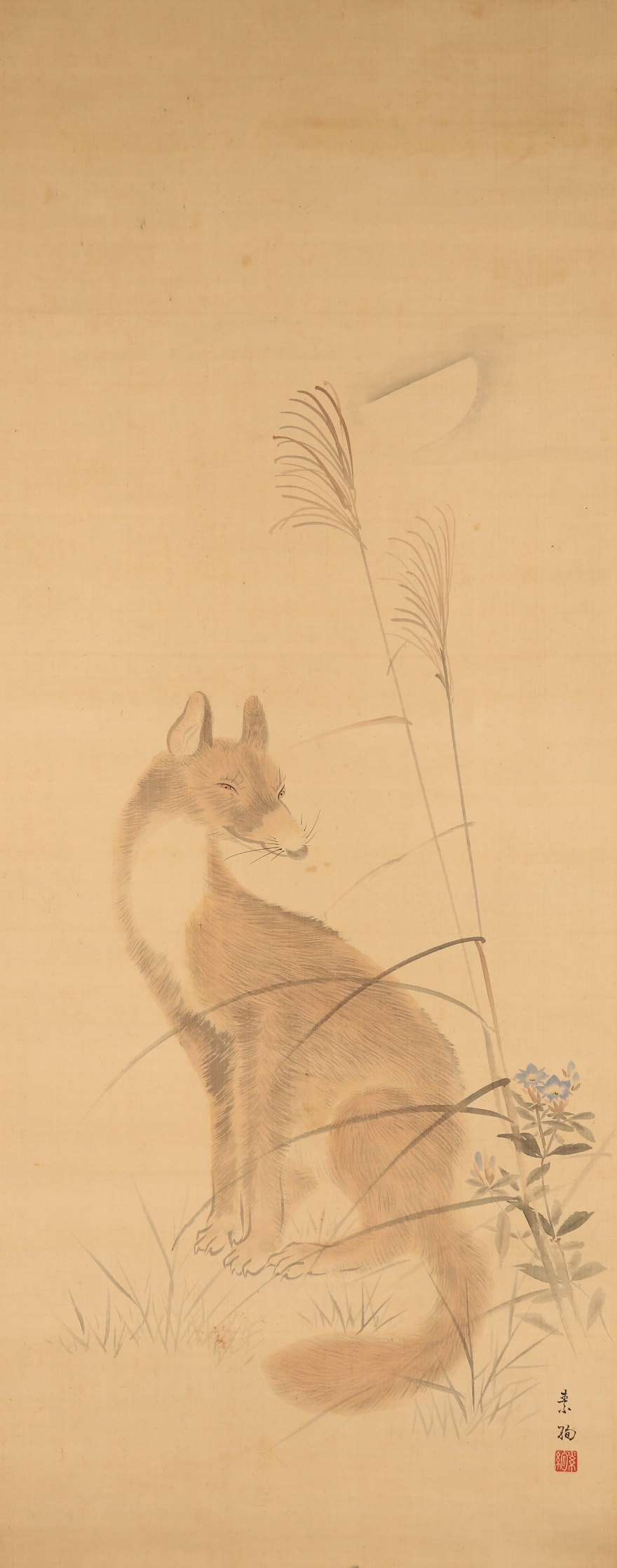 絵画　月 上品】 再開記念展 花鳥風月 「館蔵日本画 松岡コレクションの